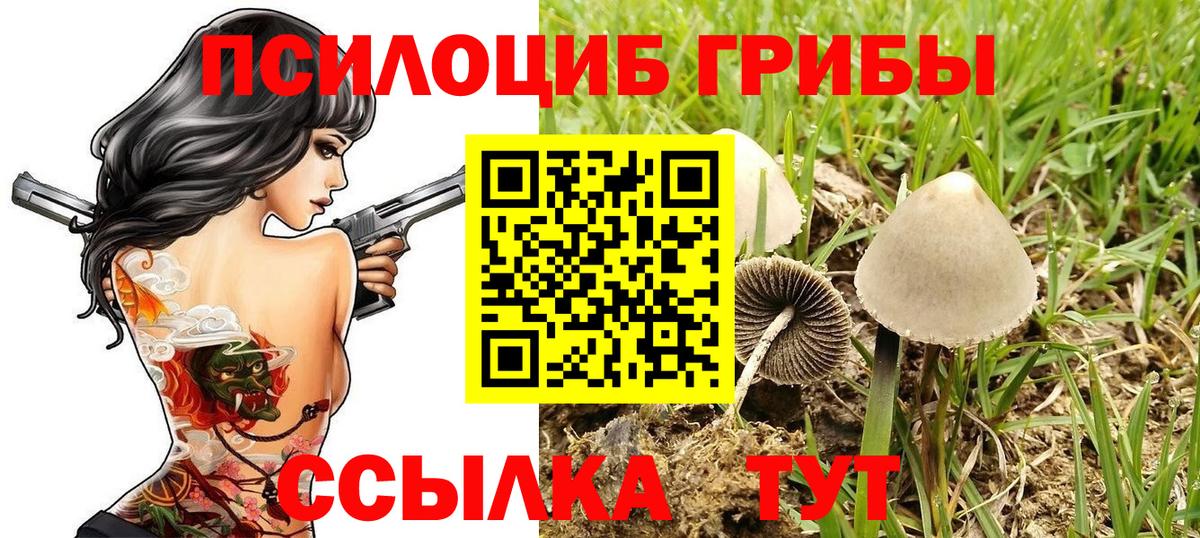 Галлюциногенные грибы мицелий Омск