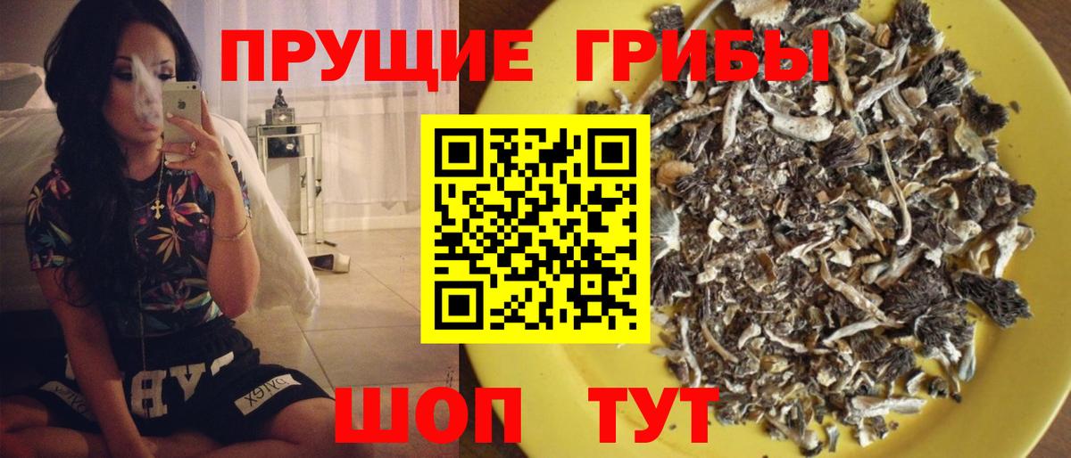 Псилоцибиновые грибы ЛСД  Галлюциногенные грибы Psilocybine cubensis  где найти   Омск  Вход с VPN 